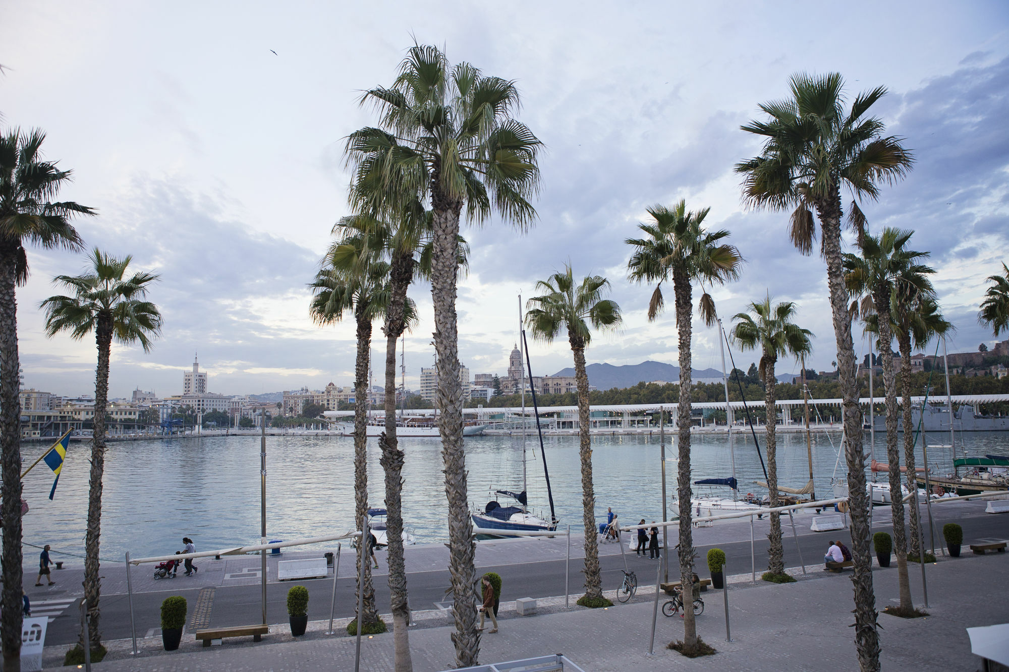 Suncity Flat La Malagueta Apartment